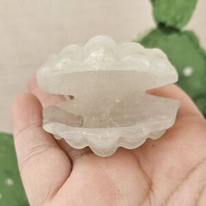 clear quartz open clam shell